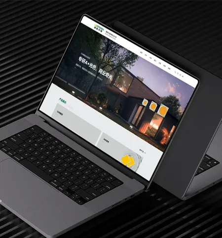 外贸网站建设